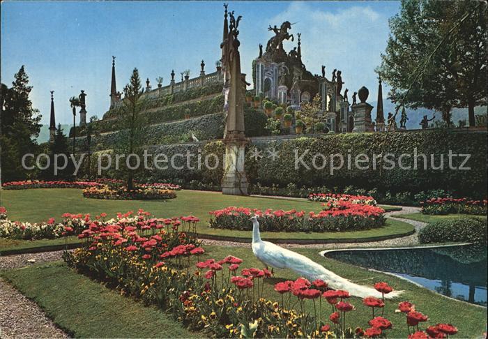 Isola Bella Lago Maggiore Giardino