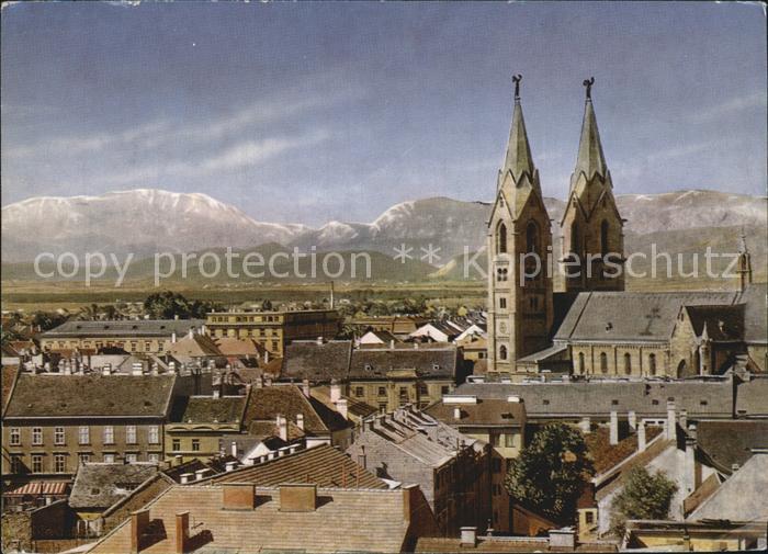 Wiener Neustadt mit Schneeberg