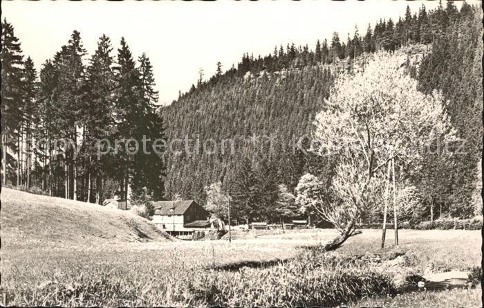 Finsterbergen Haintal