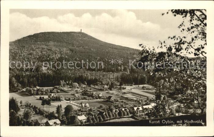 Oybin Sachsen Hochwald