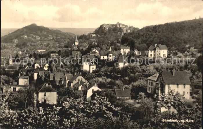 Blankenburg Harz Ortsansicht