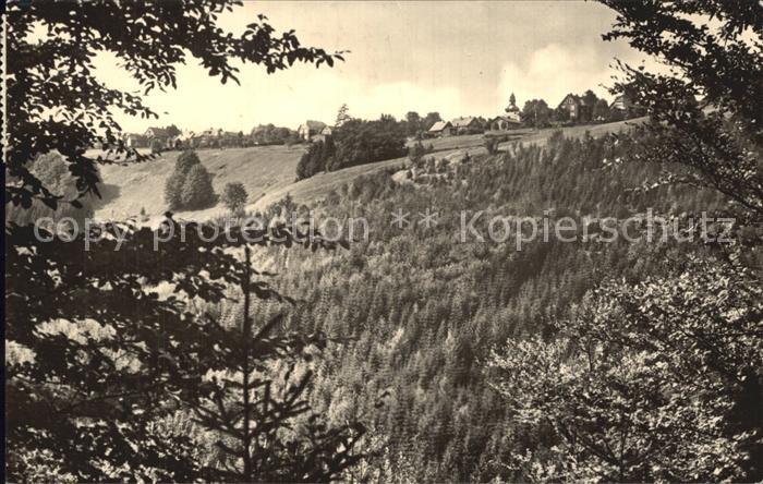 Frauenwald Thueringen