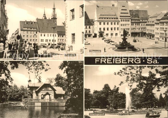 Freiberg Sachsen Obermarkt Scheringerpark Schwanenschloesschen