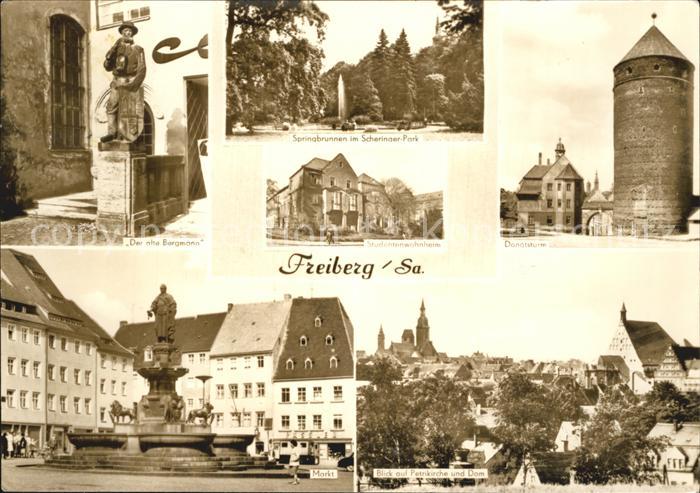 Freiberg Sachsen Donatsturm Dom Bergamann-Denkmal