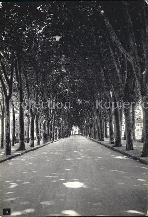 Lucca Strassenpartie