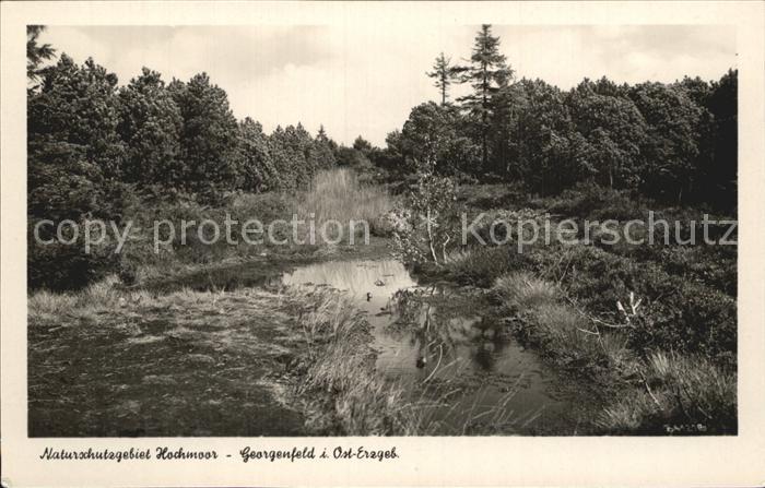 Georgenfeld Hochmoor