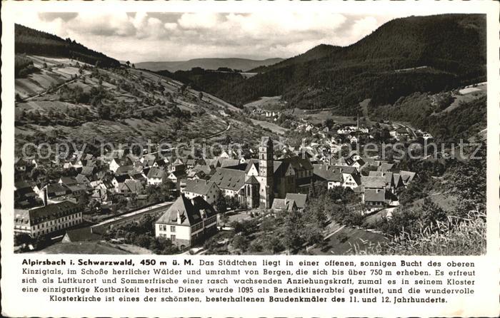 Alpirsbach Panorama mit Klosterkirche