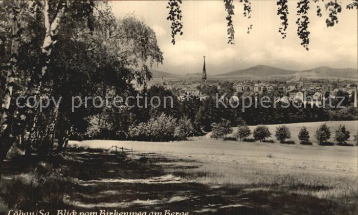 Loebau Sachsen Blick vom Birkenweg am Berge