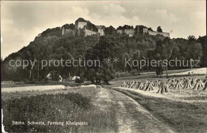 Koenigstein Saechsische Schweiz Festung Koenigstein
