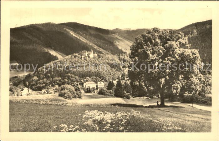 Leutenberg Thueringen Friedensburg und Tannenwan