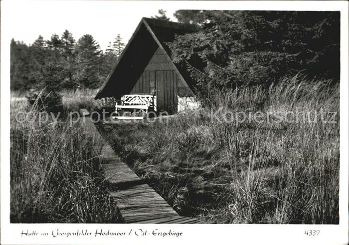 Georgenfeld Huette im Georgenfelder Hochmoor
