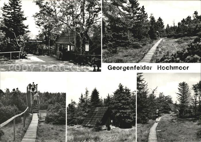 Georgenfeld Georgenfelder Hochmoor Teilansichten