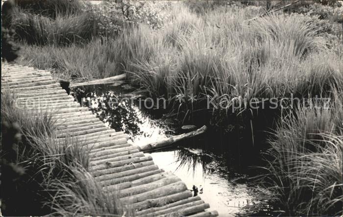 Georgenfeld NSG Georgenfelder Hochmoor