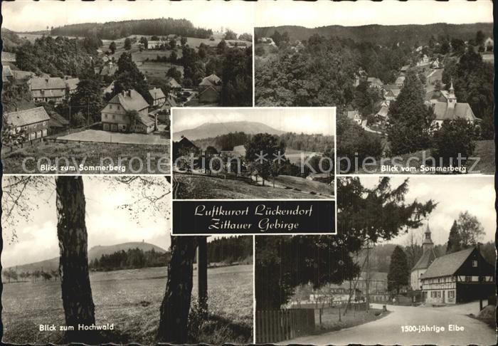 Lueckendorf Sommerberg Panorama Hochwald 1500jaehrige Eibe