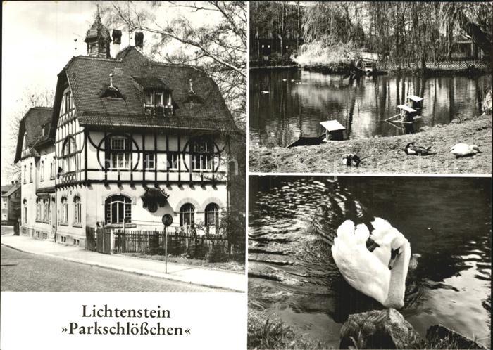 Lichtenstein Hohenstein-Ernstthal Parkschloesschen Schwanenteich