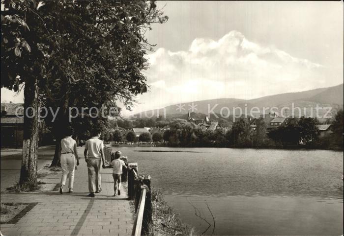 Ilsenburg Harz Forellenteich