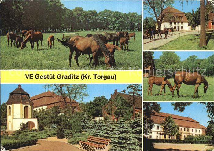 Pferde VE Gestuet Graditz