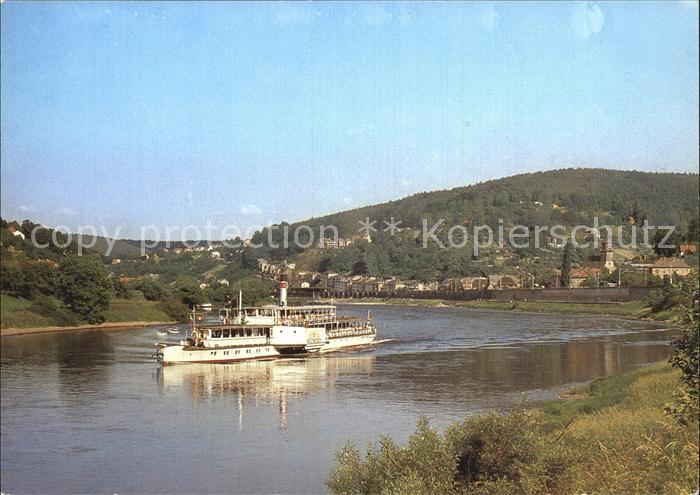 Dampfer Seitenrad Weltfrieden Weisse Flotte Dresden