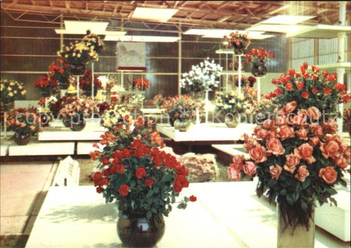 Gartenbauaustellung Erfurt Rosenexponaten