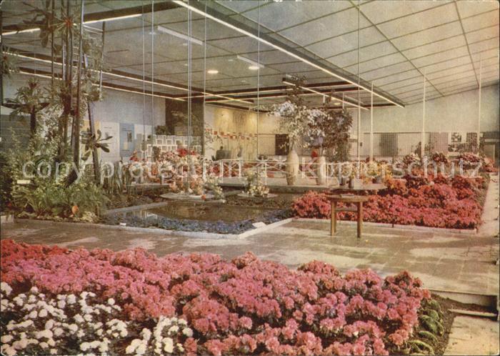 Gartenbauaustellung Erfurt Halle XIII Blumen- und Zierpflanzenbau