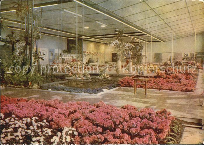 Gartenbauaustellung Erfurt Halle XIII Blumen- und Zierpflanzenbau