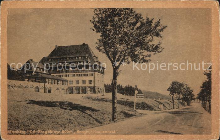Altenberg Erzgebirge Berghof Raupennest