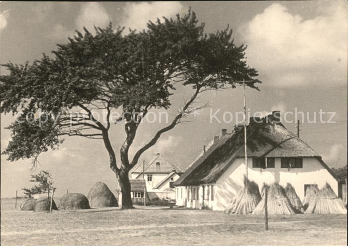 DRESDEN Elbe Ortsansicht