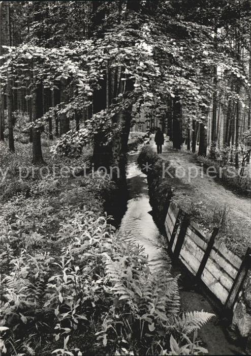 Altenberg Erzgebirge Aschergraben