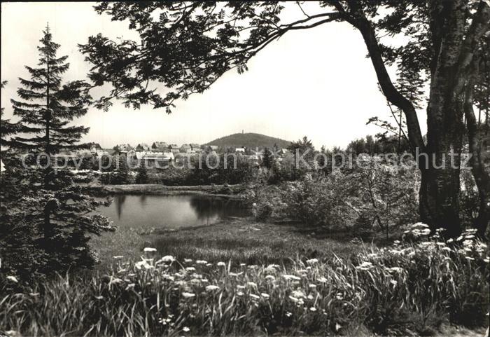 Altenberg Erzgebirge Geising Teilansicht
