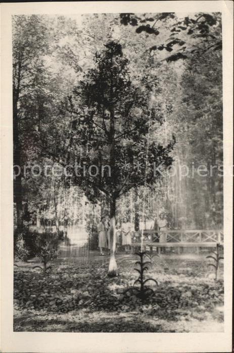 St Petersbourg St Petersburg Peterhof Brunnen Dubok