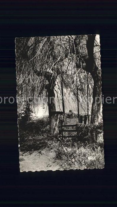 Cassel Nord Paysage Champetre