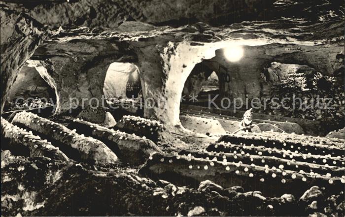 Walldorf Meiningen Sandstein- Maerchenhoehlen