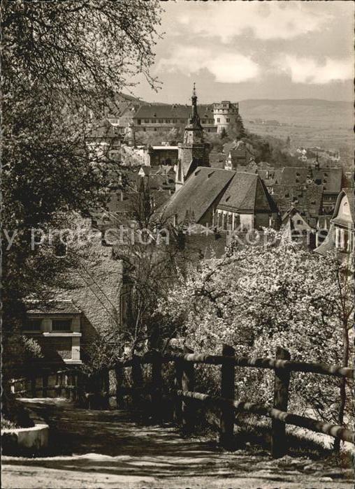 TueBINGEN BW Wielandhoeheblick Stiftskirche und Schloss
