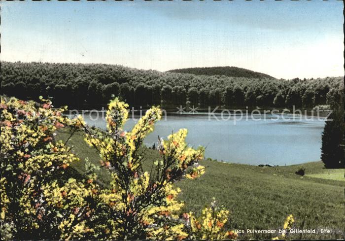 Gillenfeld Pulvermaar