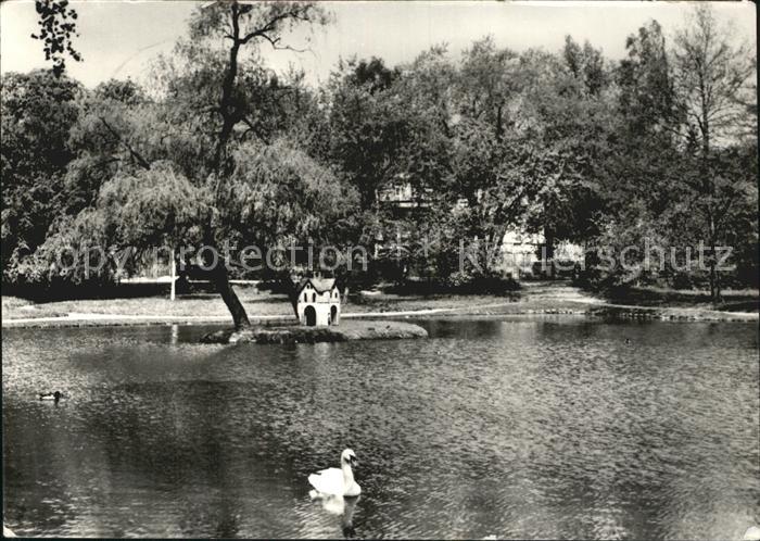 Bad Lausick Kurbad Schwanenteich