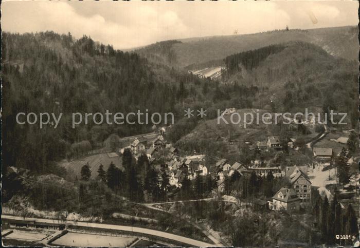 Treseburg Harz Fliegeraufnahme
