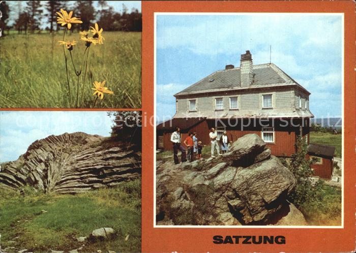 Satzung Arnika Blume Nephelinbasalt Faecher Steinbruch Hirtsteinbaude