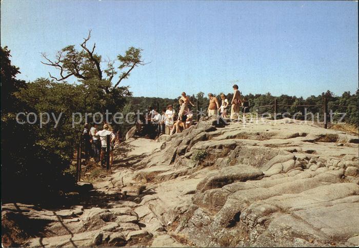 Thale Harz Rosstrappe Felsen