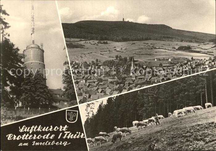 Brotterode Panorama Inselsberg Sendeturm Viehherde Kuehe