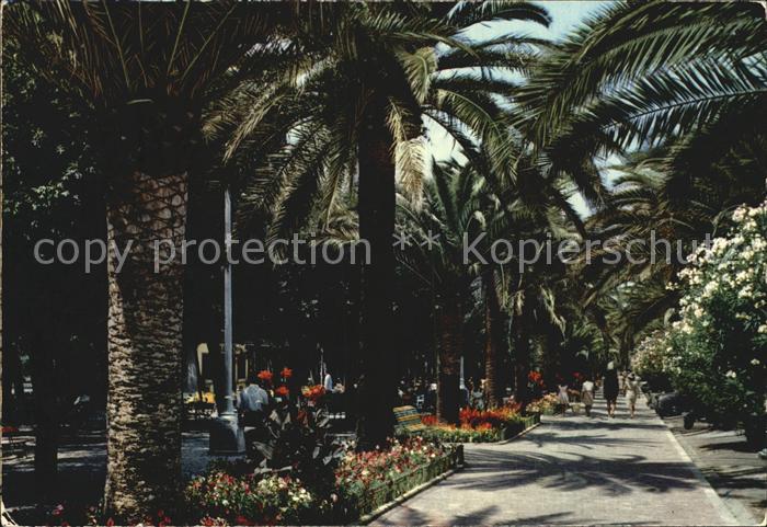 San Benedetto del Tronto Palmen-Allee