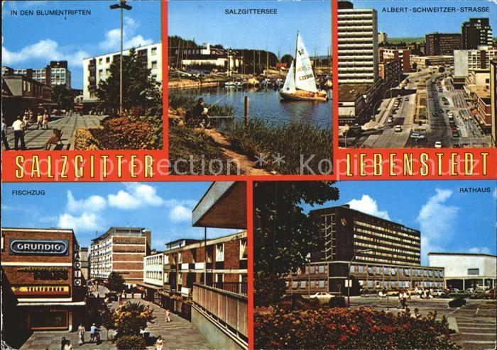 Salzgitter Rathaus Salzgittersee Fischzug Albert-Schweizer-Strasse