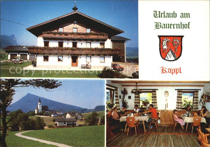 Koppl Bauernhof Ortsansichten