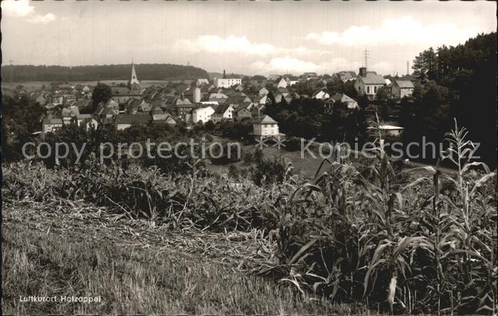 Holzappel Blick von den Feldern
