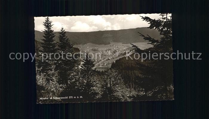 Mitteltal Schwarzwald Panorama