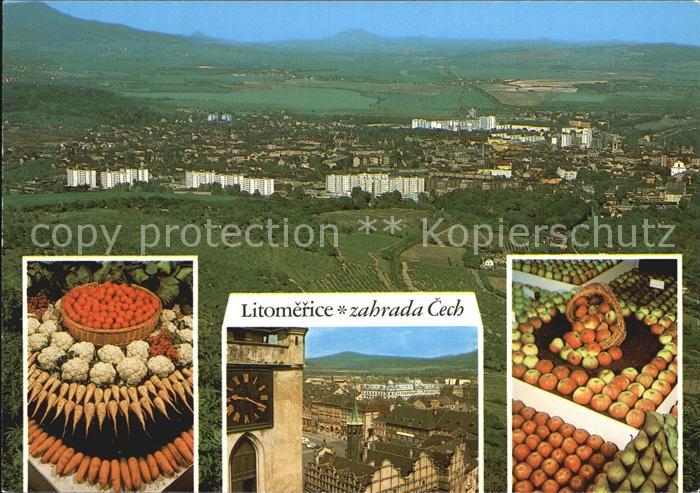 Litomerice Leitmeritz Nordboehmen Panorama Obst und Gemuesemarkt
