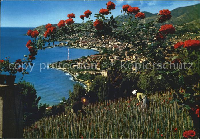 Sanremo Panorama Riviera dei Fiori Rosenbusch