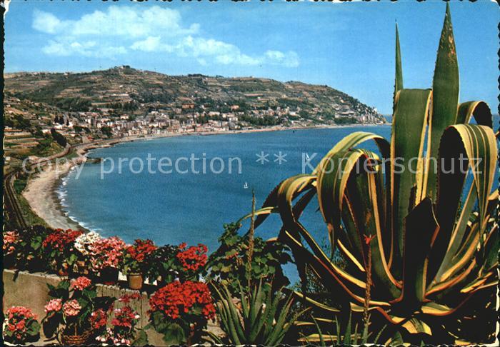 Ospedaletti Panorama Riviera dei Fiori Kaktus