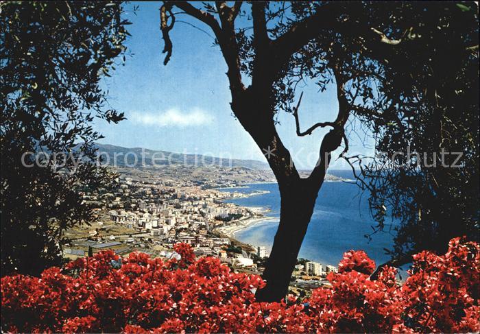 Sanremo Panorama Blumen