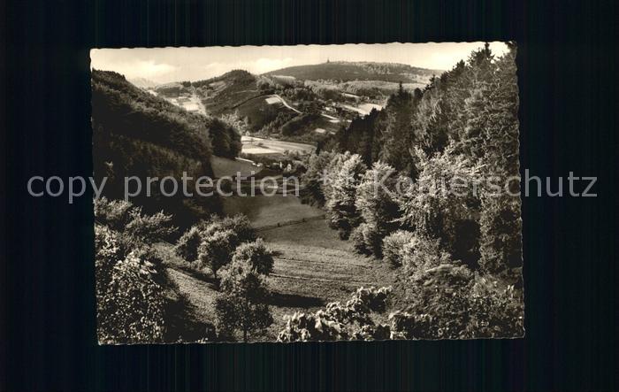 Horn Lippe Lippische Schweiz Blick vom Hangstein