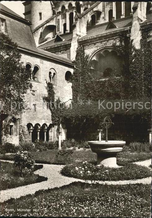 Bonn Rhein Muenster Hof Brunnen